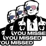 Trump You Missed Stickers - 3 Pack, Weatherproof & Customizable